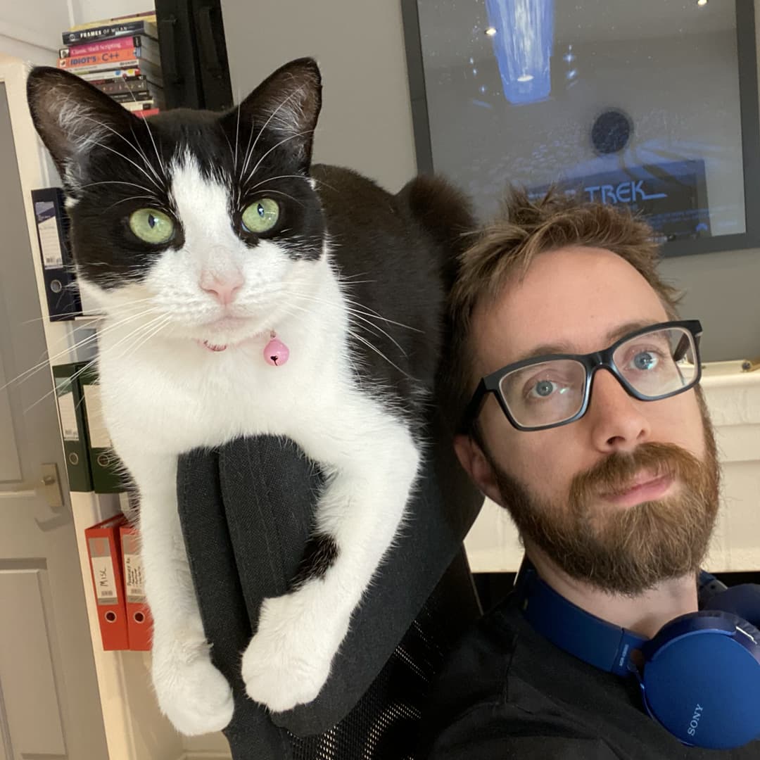 A photo of a cat